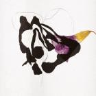 Roxane Metayer - Vies Sylvestres