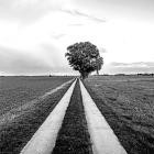 Gunnar Zander - Pampin