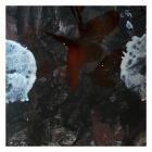 Schacke-Demon Worlds- FAM132 -24BIT-WEB-FLAC-2024-BABAS