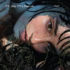 Fille-Only Skies Stay Eternal- DSG005 -24BIT-WEB-FLAC-2025-BABAS