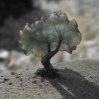 Justin Berkovi - SMV013