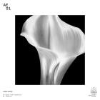 Serge Geyzel-AE-01- AE01 -24BIT-WEB-FLAC-2021-BABAS