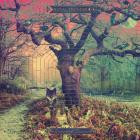 Royal Thunder - Crooked Doors (Deluxe Version)