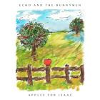 Echo & The Bunnymen - - Apples For Isaac  