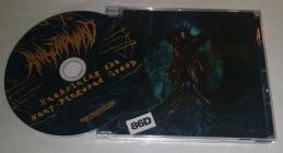 Anal Stabwound-Enshrining the Many-Fingered Grasp- NSE121-01 -CDEP-FLAC-2025-86D