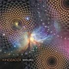 Kindzadza - Insoluble