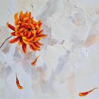 Houses We Die In - A Brief Glimpse of Solace