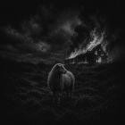 Breed It Out - Loss Of Tradition