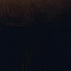 Laurent Guerel - 2025063042MIN53