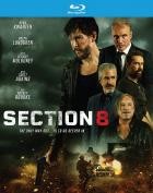 Section 8