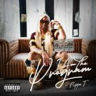 Flippa T - I Am The Program