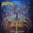 Nociception - Cognitive Dismemberment