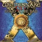 Whitesnake - Still -  Good to Be Bad