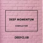 Deep Momentum