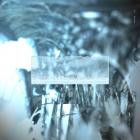 xtclvr - ShopURL : https:sferic bandcamp comalbumblessed-loops