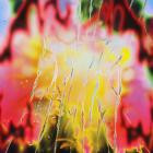 Polygonia-Limping On Clouds- HARMONY016 -24BIT-WEB-FLAC-2024-BABAS
