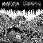 Anatomia  Undergang - Split LP