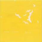 Respira - - A Still Silhouette  