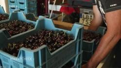 Marktcheck.2025-06-17.GERMAN.DOKU.HDTV.x264-ConNi