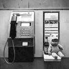 Dear Seattle-TOY-16BIT-WEB-FLAC-2025-FLACCiD