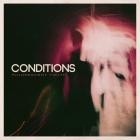 Conditions-Fluorescent Youth-10TH ANNIVERSARY EDITION-24BIT-48KHZ-WEB-FLAC-2020-FLACCiD
