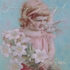 Jerry Joseph - - Love & Happiness  