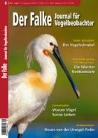 Der Falke - Journal fuer Vogelbeobachter 08/2024