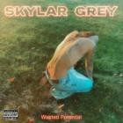 Skylar Grey-Wasted Potential-WEB-2026-MARR