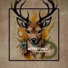 Aftertones - Nighthawks EP