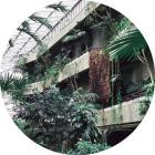 Zoo Look-Similar Steps- PALMS021 -16BIT-WEB-FLAC-2019-BABAS