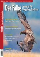 Der Falke - Journal fuer Vogelbeobachter 10/2024