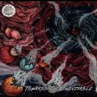 Teloch Vovin - Towards the Inevitable