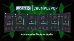 Boris FX CrumplePop Pro 2024.0.12 (x64)