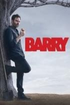 Barry - Staffel 1
