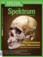 Spektrum Der Wissenschaft SPEZIAL Biologie Medizin Hirnforschung 04/2022