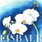 Eisbaer - Late Bloomer: Episode I