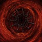 Infernal Angels - Devourer of God From the Void
