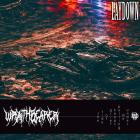 Wraithbearer - Laydown