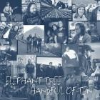 Elephant Tree - Handful Of Ten