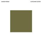 Shane Parish - Autechre Guitar