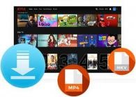 Pazu Netflix Video Downloader v1.6.1