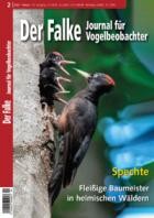 Der Falke - Journal fuer Vogelbeobachter 02/2023