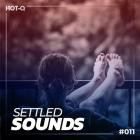 VA - Settled Sounds 011