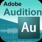 Adobe Audition 2025 v25.3.0.071 (x64)