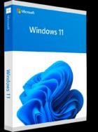 Windows 11 Pro 21H2 Build 22000.318 (x64) + Software + Office Pro Plus 2021