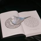 Omnihell - - Extreme Suffering  