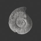 Antendex-Take Shelter-16BIT-WEB-FLAC-2017-AGITB