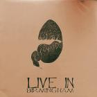 Natural Child - - Live In Birmingham 5172013  