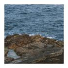 Esilum-Deviation- LR057 -16BIT-WEB-FLAC-2020-BABAS