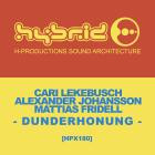 Cari Lekebusch & Alexander Johansson & Mattias Fridell - Dunderhonung